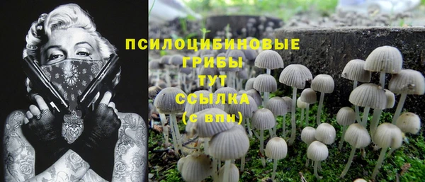 прущие крисы Аркадак