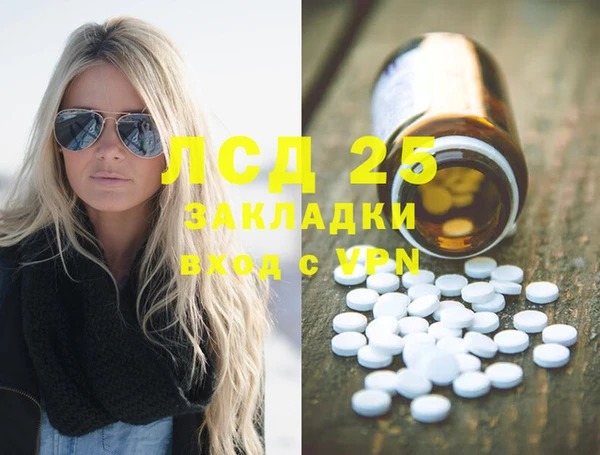прущие грибы Армянск