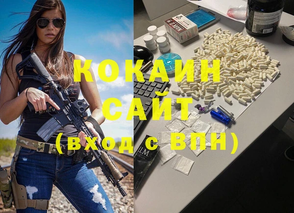 прущие грибы Армянск