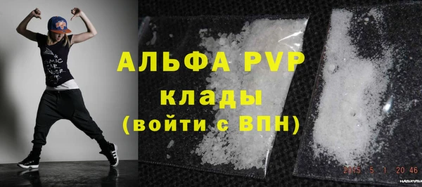 Альфа ПВП Няндома