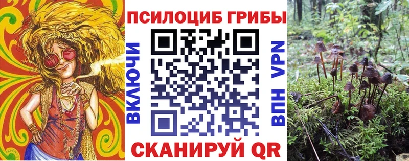 Галлюциногенные грибы GOLDEN TEACHER  Тавда 
