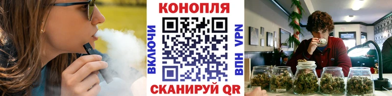 Бошки Шишки сатива  наркотики  Тавда 